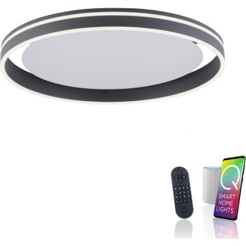 Paul Neuhaus Q-VITO 8416-13 Plafondlamp 1x44W/LED 2700-5000k 4570lm ip20