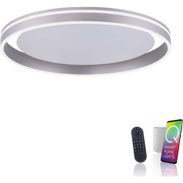 Paul Neuhaus Q-VITO 8416-55 Plafondlamp 1x44W/LED 2700-5000k 4570lm ip20