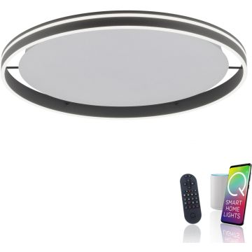 Paul Neuhaus Q-VITO 8418-13 Plafondlamp 1x65W/LED 2700-5000k 7000lm ip20