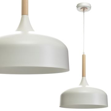 Milagro TAYLOR MLP6217 Hanglamp 1x60W/E27 IP20