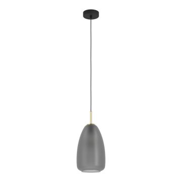Eglo ALOBRASE 900506 Hanglamp 1x40W/E27 IP20