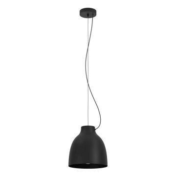Eglo CAMASCA 900158 Hanglamp 1x40W/E27 IP20