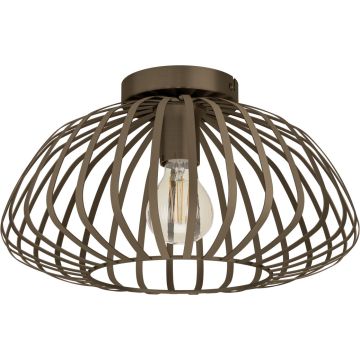 Eglo ESPINAL 901096 Plafondlamp 1x40w/e27 ip20