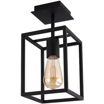 Nowodvorski CRATE I 9045 Plafondlamp 1x60W/E27 IP20