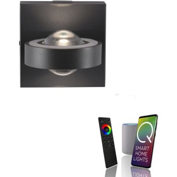 Paul Neuhaus Q-MIA 9185-13 Wandlamp 4x11W/LED 2700-5000k 1100lm ip20