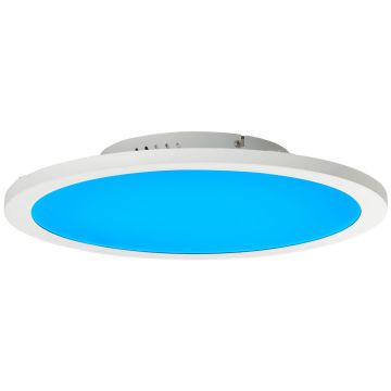 Brilliant ABIE G97060/05 Plafondlamp 1x22W/LED 2400LM IP20