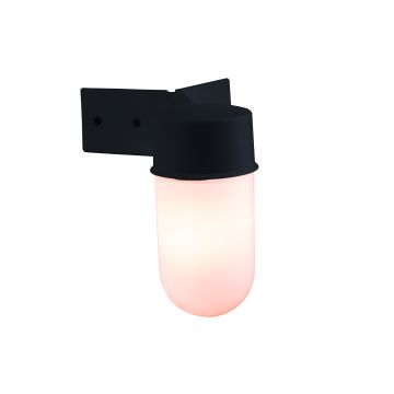 Endon WARE EL-40088 Wandlamp 40W/E27 IP44