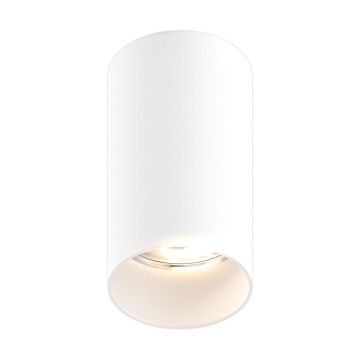 Zuma Line TUBA 92679-N Opbouwspot 1x50W/GU10 IP20