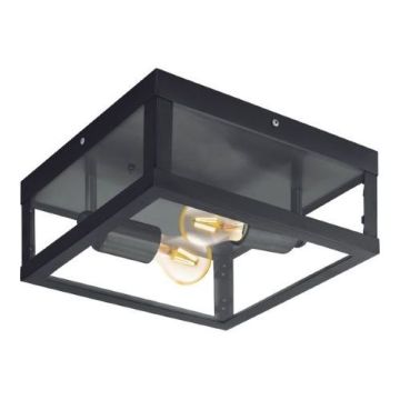 Eglo ALAMONTE 1 94832 Plafondlamp 2x60W/E27 IP44