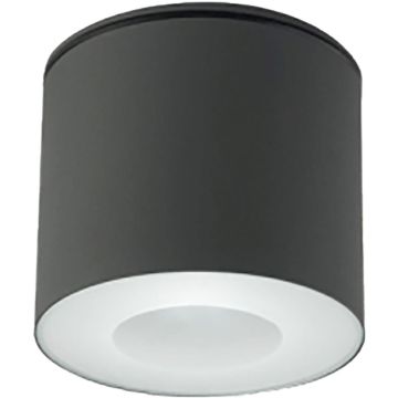 Nowodvorski HEXA 9565 Plafondlamp 1x35W/GU10 IP44