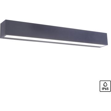 Paul Neuhaus ROBERT 9676-13 Wandlamp 1x36W/LED 3000k 4690lm ip65
