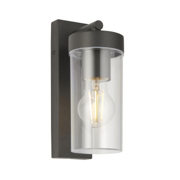 Endon HAYDEN 98439 Wandlamp 15W/E27 IP44