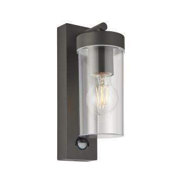 Endon HAYDEN PIR 99756 Wandlamp 15W/E27 IP44