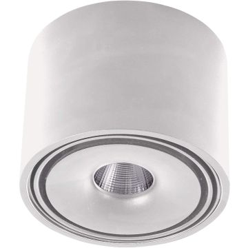 AZzardo BOSTON TUBE AZ3469 Opbouwspot 1x10W/LED 3200K 685LM IP20