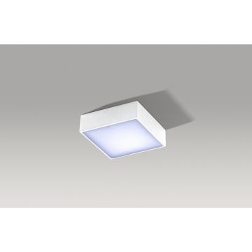 AZzardo FALCO2 AZ2781 Plafondlamp 1x12W/LED 4000K 955LM IP20