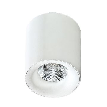 AZzardo MANE AZ2845 Opbouwspot 1x10W/LED 3000K 760LM IP20