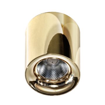AZzardo MANE AZ2846 Opbouwspot 1x10W/LED 3000K 760LM IP20