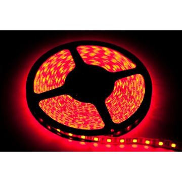 Eko-Light LED STRIP EKPL891 LED-strip 24W/500cm IP20