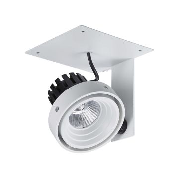 Italux PATRIZIO GL7118-1/1X12W 3000K WH+BL Spot 1x12W/LED 980LM IP20
