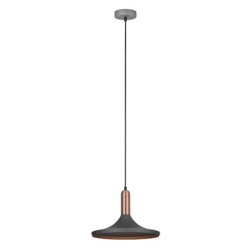 Italux LUSTY MDM-3027/1 GR+RC Hanglamp 1x60W/E27