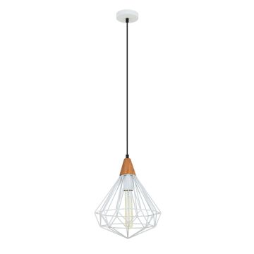 Italux MAELLE MDM-2591/1S WH Hanglamp 1x60W/E27 IP20