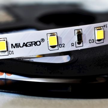 Milagro LED STRIP ML4747 LED-strip 24W/500cm IP20