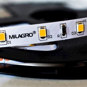 Milagro LED STRIP ML4749 LED-strip 24W/500cm IP20