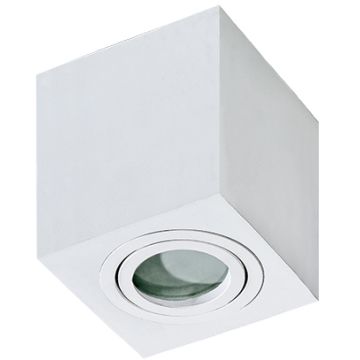 AZzardo BRANT AZ2822 Opbouwspot 1x50W/GU10 IP44