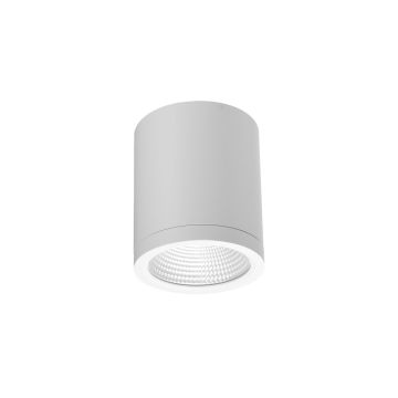 Azzardo CONYON AZ6028 Opbouwspot 1x15W/LED 3000|4000|6000 900lm IP54