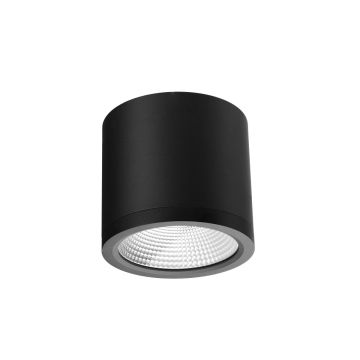 Azzardo CONYON AZ6029 Opbouwspot 1x25W/LED 3000|4000|6000 1400lm IP54