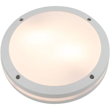 AZzardo FANO R 30 SMART LED RGB AZ4785 Plafondlamp 24W/LED 2600K-6000K 1720LM IP54