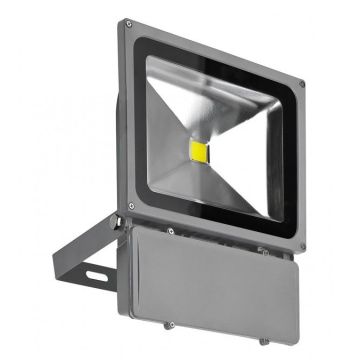 AZzardo FLOOD LIGHT AZ1201 Halogeenlamp 1x80W/LED 4200K 5600LM IP65