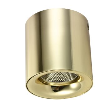 AZzardo MANE AZ4154 Opbouwspot 1x20W/LED 3000K IP20