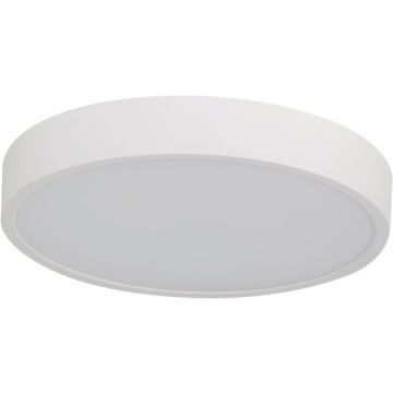 Azzardo PANDINO AZ6589 Plafondlamp 1x24w/led 2800k/4000k/6000k ip44