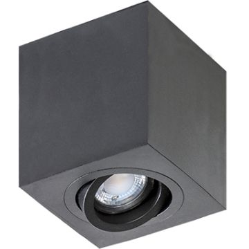 AZzardo BRANT AZ2825 Opbouwspot 1x50W/GU10 IP20