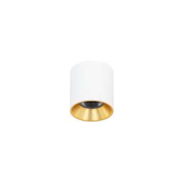 Italux ALTISMA CLN-6677-75-WH-GD-3K Opbouwspot 1x10W/LED 3000k 1100LM IP20