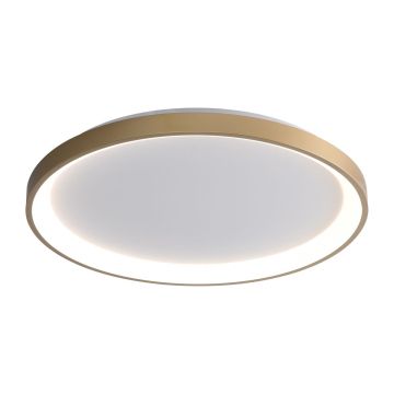 Italux Raden CLN-3151-M-GD Plafondlamp 1x50W/LED 3000K|4000K|6000K 2900lm IP20