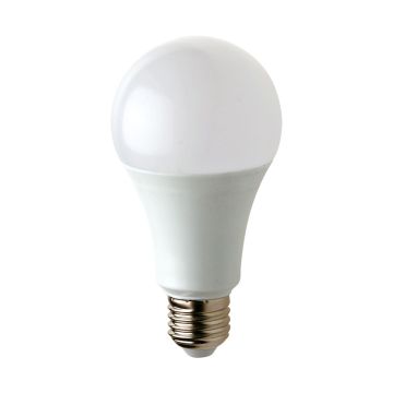 Eko Light BULB EKZA0209 Gloeilamp 1x15W/E27 6000K 1500lm IP20