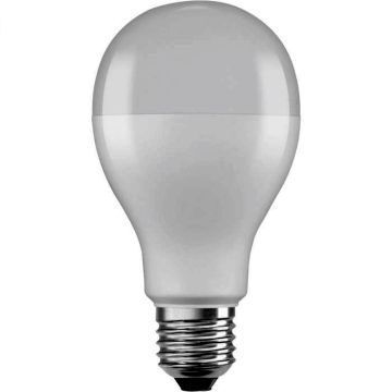 Eko-Light BULB EKZOS237 Gloeilamp 1x19W/E27 3000K 2451LM