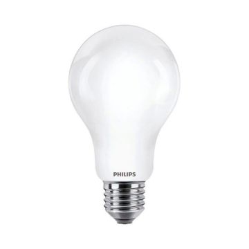 Eko-Light BULB EKZPH555 Gloeilamp 1x13W/E27 6500K 2000LM