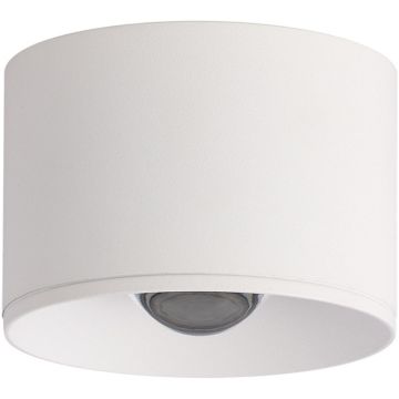 Zambelis CEILING SPOT S132 Opbouwspot 12W/led 3000K 561lm IP54