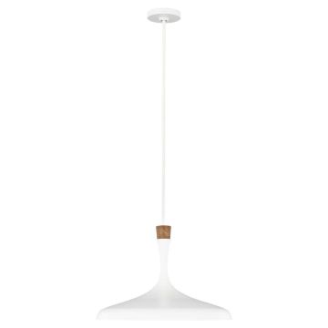 Feiss DARWIN FE-DARWIN-P Hanglamp 1x60W/E27