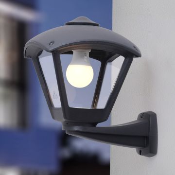 Fumagalli Nardo FMG-NARDO-DARIO-BLK Wandlamp 1x23W/E27 IP55