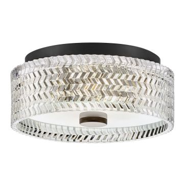 Hinkley Lighting Elle HK-ELLE-F-S-BK Plafondlamp 2x60W/E27 IP20