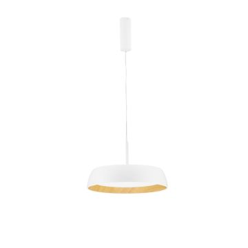 Luces Exclusivas CARACOLLO LE44813 Hanglamp 1x40W/led 3000k IP20 3111lm