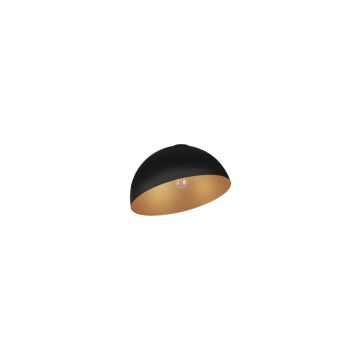 Luces Exclusivas IRONCOLLO LE44908 Plafondlamp IP20