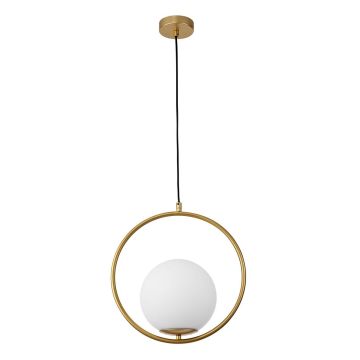 Luces Exclusivas RENGO LE41770 Hanglamp IP20