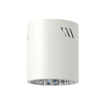 Milagro GEORGE ML0481 Opbouwspot 1x60W/E27 IP20