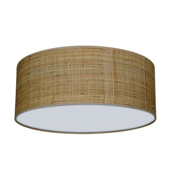 Milagro MARSHALL MLP7487 Plafondlamp 2x60W/E27 IP20