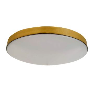 Milagro MAYA ML7790 Plafondlamp 1x15W/LED 4000K 1650lm IP44